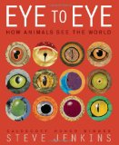 Eye to Eye