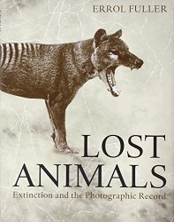 lost_animals_large