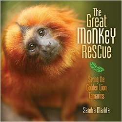 great_monkey_rescue_large