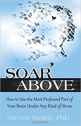 soar_above_large