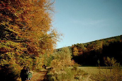 2001_11_3 2 Autumn Hike