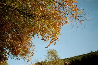 2001_11_3 3 Autumn