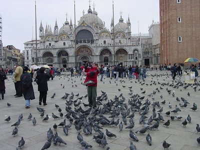 2002_04_10 9 Pigeons