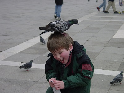 2002_04_11 1 Pigeons