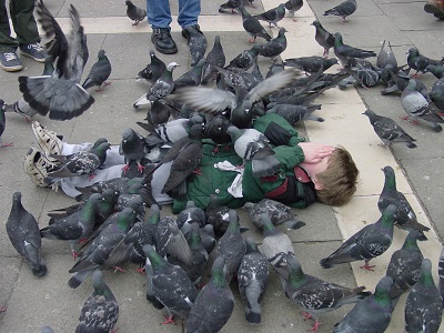 2002_04_11 6 Pigeons