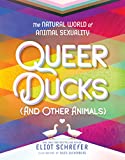Queer Ducks